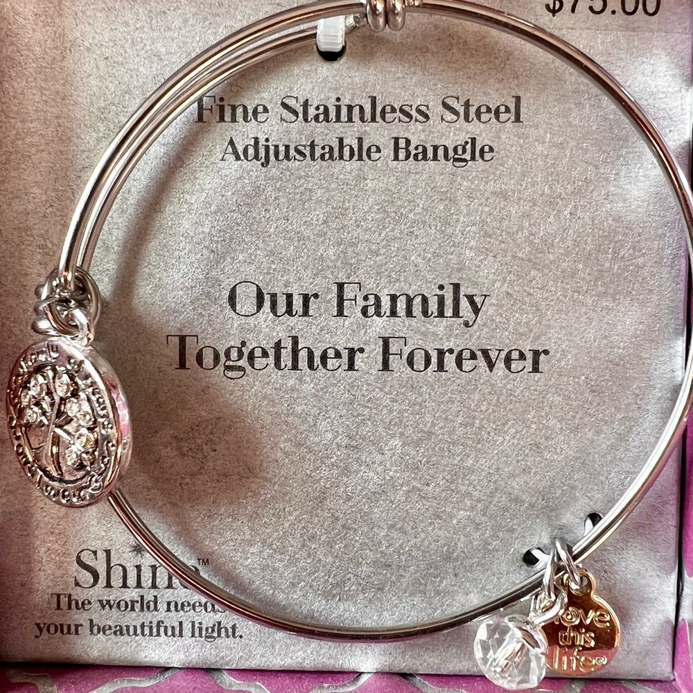 New Heartfelt Stainless Steel Silver Family Charm Bracelet